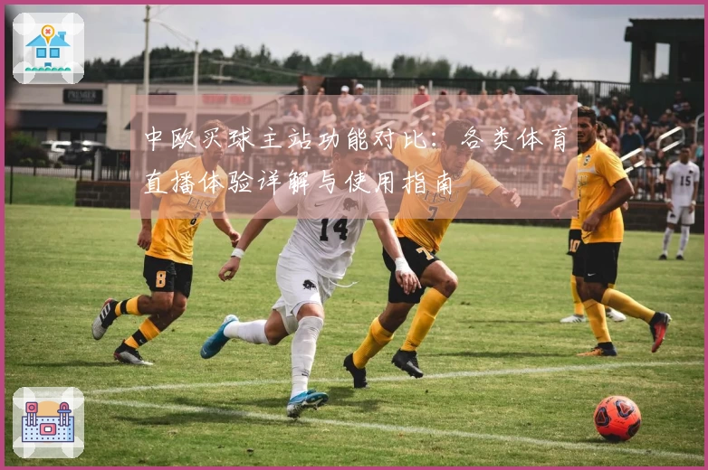 中欧买球主站功能对比：各类体育直播体验详解与使用指南