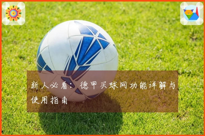 新人必看：德甲买球网功能详解与使用指南