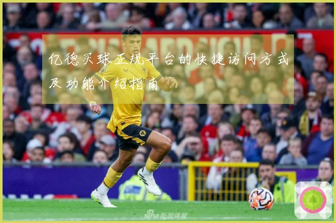 亿德买球正规平台的快捷访问方式及功能介绍指南