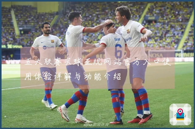 五大联赛买球正规网站官方入口使用体验详解与功能介绍